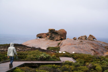 これは巨大な動物の死骸？