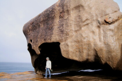 騎士の帽子みたい