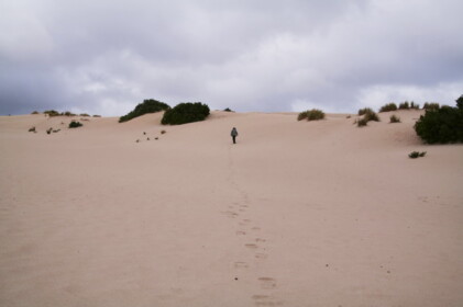 リトル・サハラ