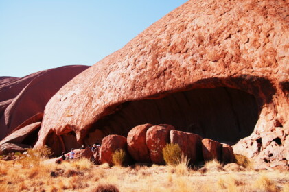 大きなシェルター