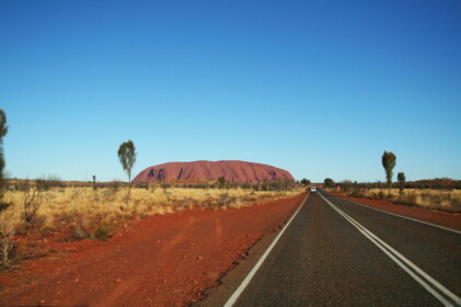 ウルルが見えた！