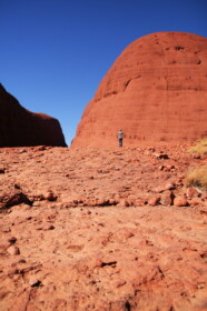 往復1時間で見られます
