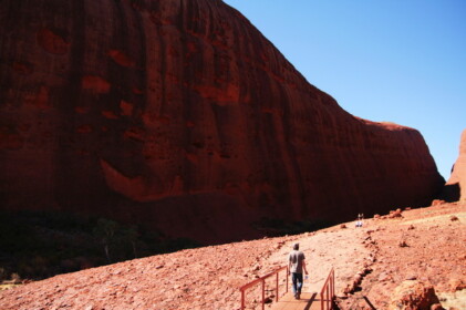 スケールが大きい
