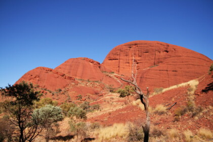 ドーム状の岩山