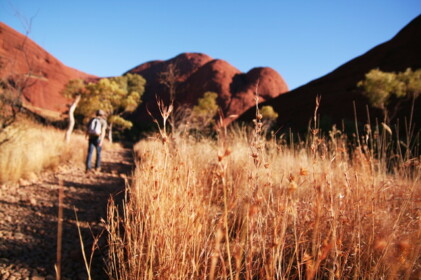 思ったより長かったトレイル