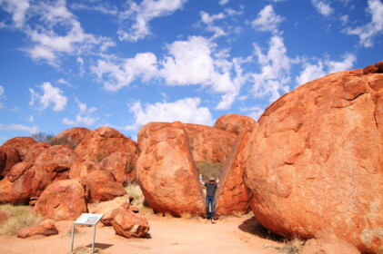 半分に割れている