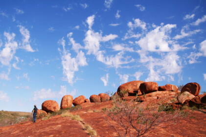 一列に並んでいる