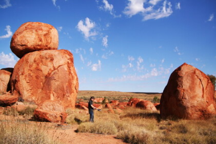 ハエ集団の攻撃