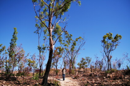 プチトレッキング