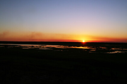 カカドゥを代表する大湿原