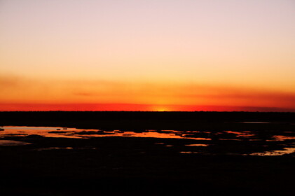赤く染まった湿原