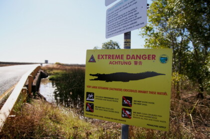 ワニ注意の標識