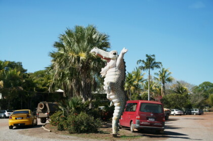 ダーウィンの名物