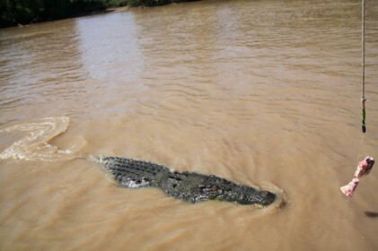 肉に紐を付けて