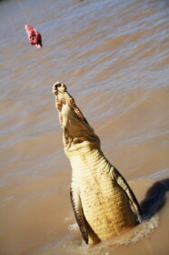 起立してジャンプ！？