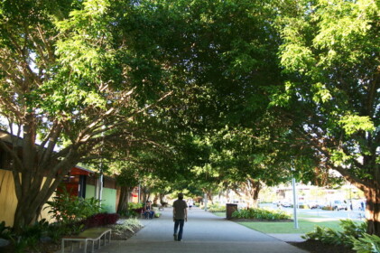 ケアンズでは連日素晴らしい天気