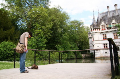 ネコを見るとほっとけない人