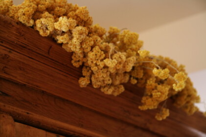 タンスの上にお花