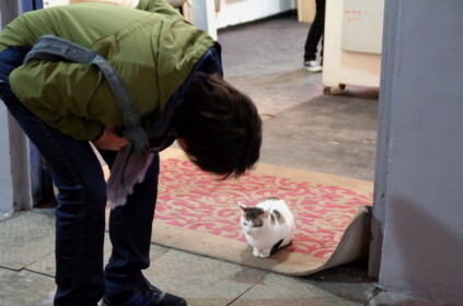 ねこがいるとほっとけない