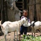 ネパールの子ども