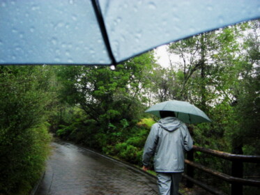 テ・プイアではずっと激しい雨