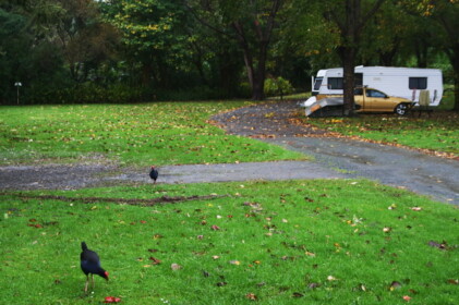 キャンピング場の朝