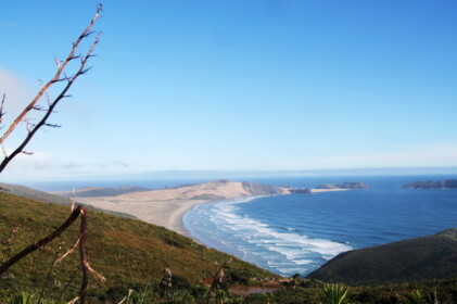 ニュージーランド本土（北島）最北端