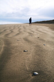 90マイルビーチを散歩