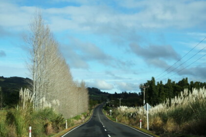 南下していく途中