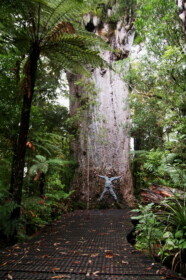 ヤカスの前でジャンプしてみる