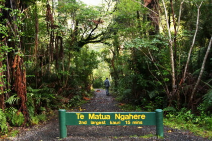 テ・マトゥア・ナヘレ