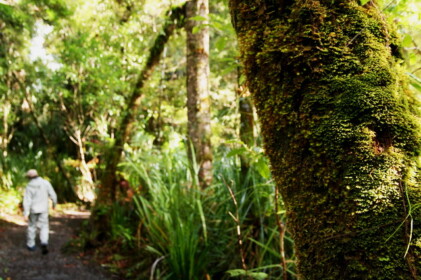 時々雲間からの陽射しが柔らかい