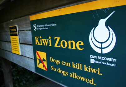 キーウィのいるゾーン