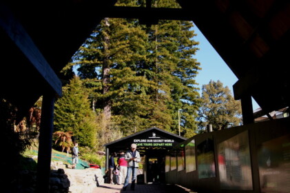 ワイトモ洞窟の入口