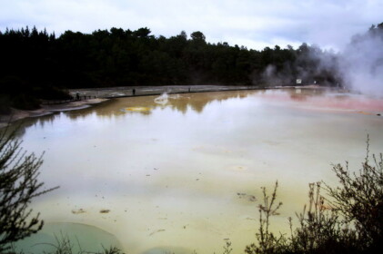 アーティストパレット