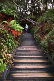 周りは山に囲まれていて緑も豊富