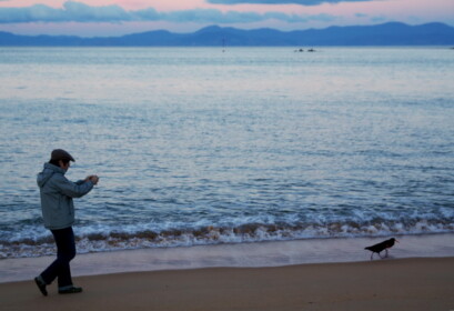 鳥に嫌われたり