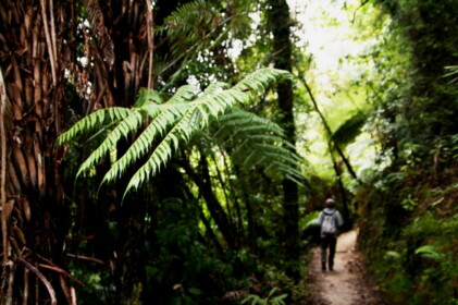 コースト・トラック