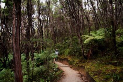 1日目のトレッキング