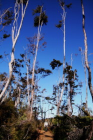 冬の青空は清々しい