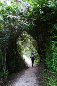 前日と違ってシンプルなコース