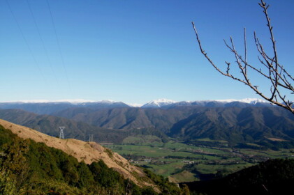6月30日 久しぶりの真っ青な空