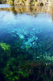 世界一透明な泉