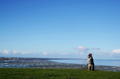 しばらくぼっーと眺める