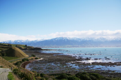 カイコウラ半島クリフトップ・ウオーク
