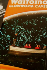 ツチボタルの夜空