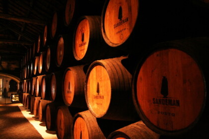 ワインセラーを見学