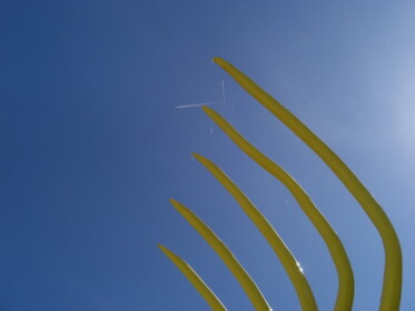 こーへーの視線の先には