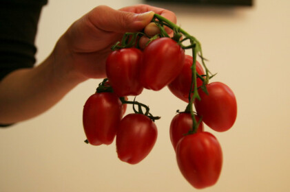 久しぶりの自炊