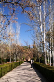 次はヘネラリフェ庭園へ